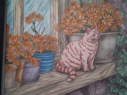 whatsapp bild 2025-01-20 um 13.16.51_1200a999